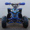 Quad NCX FURIOUS 125 R6 + retro