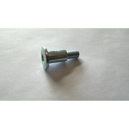 VITE FISSAGGIO TIRAGGIO PEDALINA FRENO POSTERIORE PER QUAD KAYO AU200 T3B