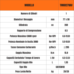 Motore Completo con Avviamento Elettrico Toro Motori Tmhd270Av