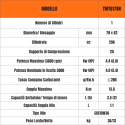 Motore Completo Diesel 7 HP con Avviamento a Strappo Toro Motori tipo Yanmar TMYD178 Conico 23mm