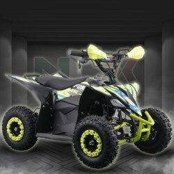 Miniquad FURIOUS BIG 1000W R6 - ELETTRICO