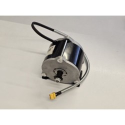 Motore Elettrico 800W 36V Per Atv Ssv Kayo Ea50 Es50