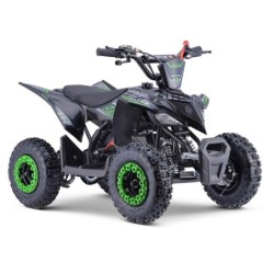 Miniquad Profive Raptor 50 cc