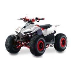 Quad LEM-GRIZZLY 110CC QUAD