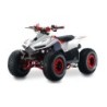 Quad LEM-GRIZZLY 110CC QUAD
