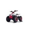Quad LEM-GRIZZLY ELECTRIC