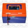 Batteria Litio 48V 12Ah Originale Per Eco Rider