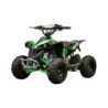 Quad Ares 110cc R6