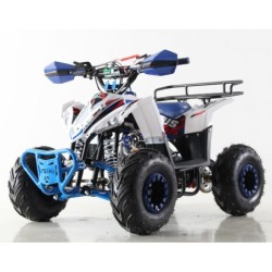 Quad NCx FURIOUS 125 R6
