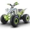 Quad NCx FURIOUS 125 R8