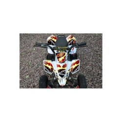 Adesivi Miniquad Fox Rossi Blu Verdi