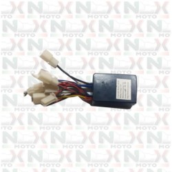 Centralina 24V 100W Monopattino