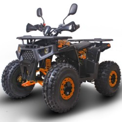 NCx Quad ANGRY 125 R8