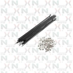 Raggi (Set 36Pz Nero)