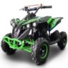 Qiuad  NCx CAYMAN 1000 W R6 ELETTRICO