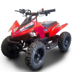 Miniquad NCx MINI MONSTER 24V 500W R6 ELETTRICO