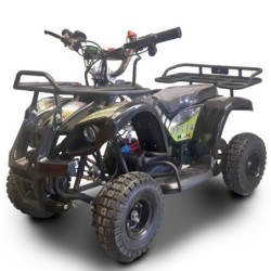 Miniquad NCx SPIRIT 24V 500W R4 ELETTRICO
