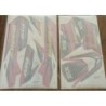 Adesivi Quad Tox