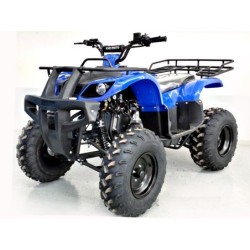 KxD Quad T-Rex Big 200cc R10