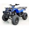 KxD Quad T-Rex Big 200cc R10