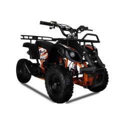 Kxd T-Rex Big 49cc R6 Miniquad