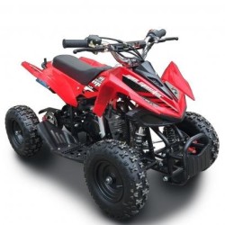 Ncx Mini Monster 50 R6 E-Start - 4 Tempi