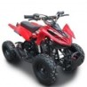 Ncx Mini Monster 50 R6 E-Start - 4 Tempi