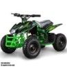 NCx V-RAPTOR 50 R6 PULL START Miniquad