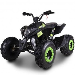 NCx Fx 250 RACING Maxi Quad