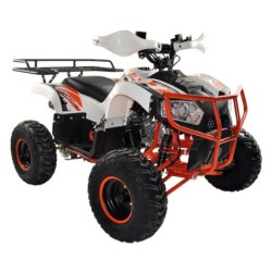 Kxd Quad Dragon 125cc R7