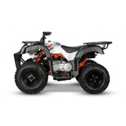 Adesivi Quad Kayo Au180 180cc