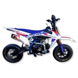 Pitbike Profive Sjr 110 Motard 10/10