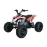 QUAD ONE 125CC R8 Profive