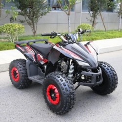 Quad Sportmax 125cc R8 Profive