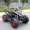Quad Sportmax 125cc R8 Profive