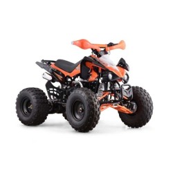 QUAD SKYNER 125cc 4T R8' PROFIVE