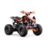 QUAD SKYNER 125cc 4T R8' PROFIVE