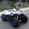 QUAD ExPLORER 110CC Profive