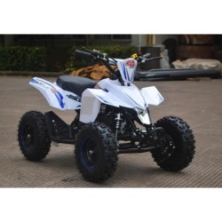 MINIQUAD RACER 50CC 2T Profive