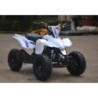 MINIQUAD RACER 50CC 2T Profive