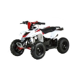 MINIQUAD RACER ELETTRICO 1000W Profive