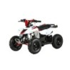 MINIQUAD RACER ELETTRICO 1000W Profive