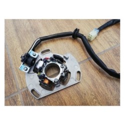 STATORE MINICROSS PIT BIKE 85cc TIPO MORINI 2 TEMPI