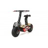 Lem M.A.D. 2000W 60V LITHIUM