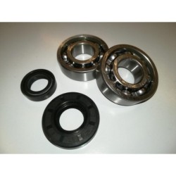 SET CUSCINETTI 6203 17x40x12 + PARAOLI 17x35x7 15x24x7 ALBERO 50cc 65cc MOTORE MORINI lem ktm