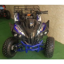 KXD QUAD WARRIOR 125CC R8