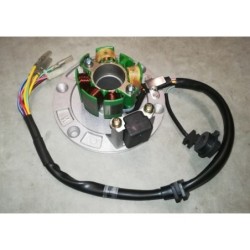 STATORE BOBINE CON PIATTO Yx 170 BLOCCO MOTORE PIT BIKE KAYO 170cc