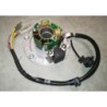STATORE BOBINE CON PIATTO Yx 170 BLOCCO MOTORE PIT BIKE KAYO 170cc