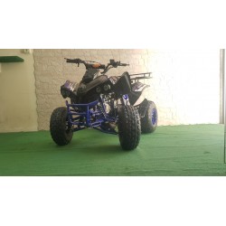 KXD QUAD WARRIOR 125CC R8