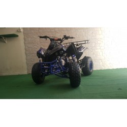 KXD QUAD WARRIOR 125CC R8